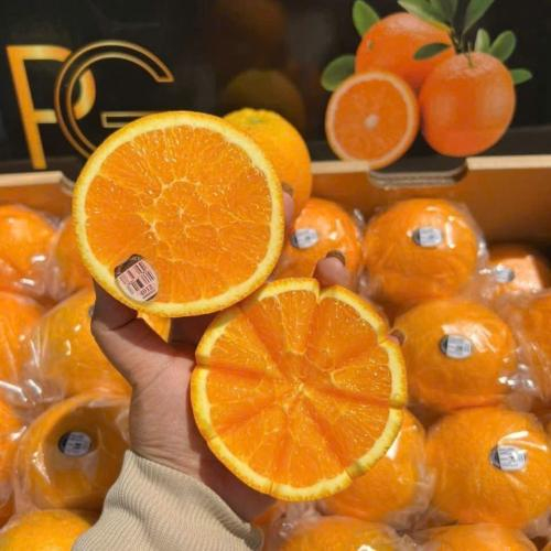 Cam Fresh Orange
